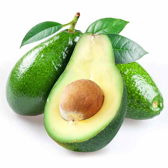 Fuerte avocado