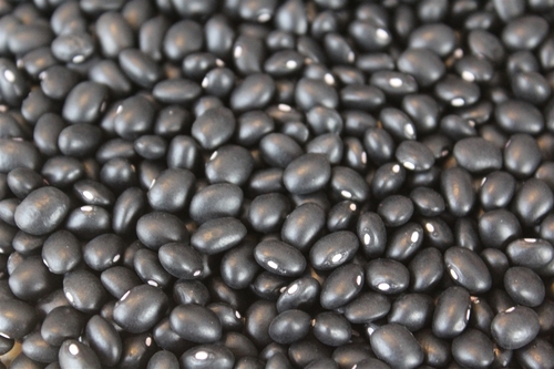 Black Kidney Beans