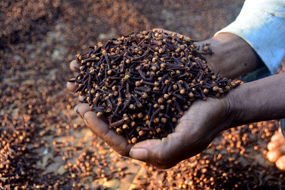 Cloves
