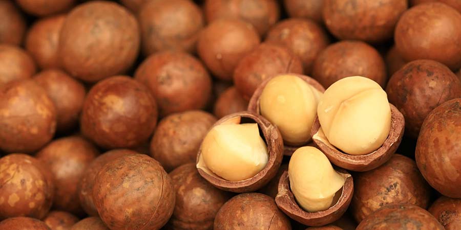 Macadamia nuts