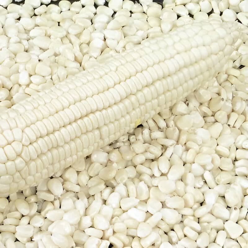 White and Yellow Corn